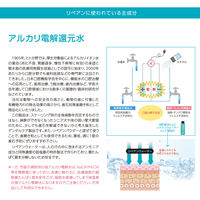 デンタルクリーナー 4回分 犬用 RepairAn リペアン 国産品 歯石対策歯磨き粉 バイロン