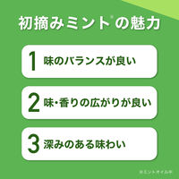 グリーンガム（業務用）1箱(100枚入) ロッテ 板ガム ミントガム