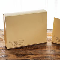 ヘッズ メルヴェイユ宅配ペーパーバッグ W370×H300×D90mm 封かんシールなし 1パック（10枚入） MER-TBP1