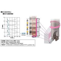 住友電工ハードメタル SECー溝入れバイトSSH型用ホルダ E16X-SSHMN640-14 1PC（直送品）