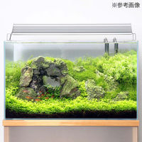 リーフ 形状お任せ 裂渓石 サイズミックス 10kg(約5~30cm) 255593 1個（直送品）