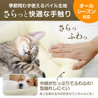 ベッド タオルマット S アイボリー 1個 犬 猫 ベット