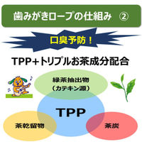 エブリデント 歯みがきロープ 愛犬用 やわらか SSサイズ 国産 45g（約20本）3袋 犬 おやつ 歯磨き アース・ペット