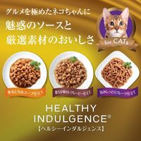 ウェルネス ヘルシーインダルジェンス 香るとろみスープ仕立て サーモン＆ツナ 85g 10袋 キャットフード 猫 ウェット パウチ