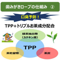 エブリデント 歯みがきロープ 愛犬用 やわらか Sサイズ 国産 55g（約11本）3袋 犬 おやつ 歯磨き アース・ペット