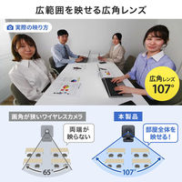 サンワサプライ ワイヤレス広角WEBカメラ CMS-V69BK 1個（直送品）