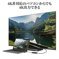 サンワサプライ USB A/Type-C両対応HDMIディスプレイアダプタ(4K/30Hz対応) USB-CVU3HD4 1個