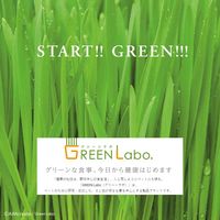 グリーンラボ（GREENlobo）猫草スナック かつお味 国産 40g 6袋 キャットフード 猫 おやつ