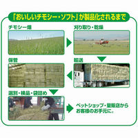 毎日食べるやさしい食感 おいしいチモシー ソフト 450g 小動物用 国産 3袋 ジェックス