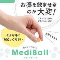 キャットフード ベッツラボ メディボール 猫用 かつお味 国産 15個入り 1袋 セミモイスト おやつ