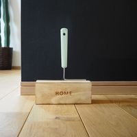 hauska（ハウスカ） 粘着クリーナー＆ケースセット ミント 1セット オカトー