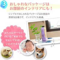 加湿器の除菌タイム アロマ 加湿器タンク用除菌芳香剤 アクアマリン 300ml 1個 UYEKI