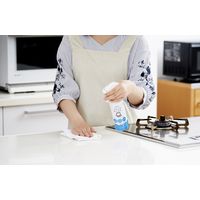 バブルガード ふきふきせっけん スプレー 本体 300ml 1本 無添加 除菌 シャボン玉石けん