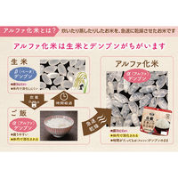 アルファー食品 安心米 長期保存 非常食 五目ご飯 100g×15個 4970941518543（直送品）