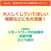 Hartz（ハーツ）コロットン グリーン 1個 住商アグロインターナショナル 犬 おもちゃ デンタルケア