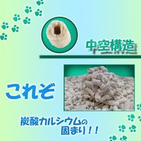 猫砂 おからサンド プラスラブ おっいいトイレ 国産 6L 1袋