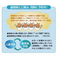 ビーブランド・メディコーデンタル ハイザックRスプレー 24-8035-00 1本