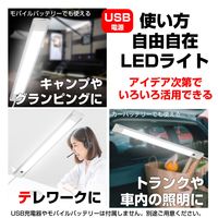 朝日電器株式会社 ＬＥＤ多目的灯ＵＳＢ　プッシュ ALT-USB2030PS(L) 1個