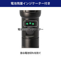 朝日電器 LEDアルミライト DOP-EP520 1個