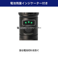 朝日電器 LEDアルミライト DOP-EP540 1個