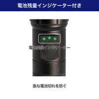 朝日電器 LEDアルミライト DOP-EP560 1個