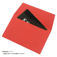 エヒメ紙工 ミニカラー封筒 鼠 2冊セット EM-06-2P 1セット(1パック×5)