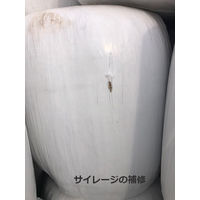 高耐侯多用途テープ ハガレナインマルチ 幅80mm×長さ20m ナチュラル #600NW リンレイテープ 1セット（5巻入）