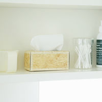 ティッシュペーパー ネピア フィットエルディーケー 1個 王子ネピア FIT LDK ロハコ展  限定