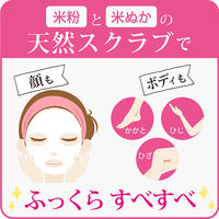 リアル うっとりはっこう 米ぬかパック 170g 776251 48個（直送品）