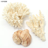 リーフ かざりサンゴ Lサイズ(3個セット)(形状お任せ) 237723 1セット（直送品）
