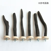 リーフ 小鳥の爪とぎ用 備長炭とまり木 スタンダード 長さ15~20cm 258247 1個（直送品）