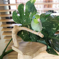 リーフ 形状お任せ 小鳥のとまり木 置き型 小 267186 1個（直送品）