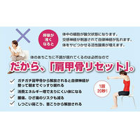 文響社 ハーバード&ソルボンヌ大学の最先端研究から考案! 肩甲骨リセット 1376 1冊（直送品）