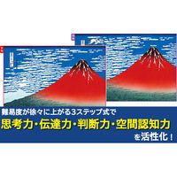 文響社 大人の間違い探し脳ドリル 1449 1冊