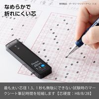 ぺんてる アイン シャープペンシル替芯 1.3mm HB C2813-HB 1箱（100本：10本入×10ケース）