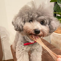 ペティオ ニューグリーン 完全無添加 ダックファイバースティック カットタイプ 20g 3袋 ドッグフード 犬 おやつ