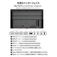 65インチ ワイド 4K液晶ディスプレイ(3840x2160/HDMIx3/DP/VGA/VAパネル) JN-V6500UHDR-N（直送品）