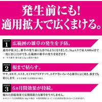 【園芸用品】 フマキラー カダン 除草王 オールキラー 粒剤 2kg 1個