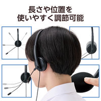 ヘッドセット USB 有線 単一指向性 ノイズキャンセリング オーバーヘッド HS-HP06SUBK 1個 エレコム（直送品）