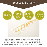 イケヒコ・コーポレーション PPカーペット ラグ 五木 江戸間4.5畳 2610×2610mm 1090040001102 1枚（直送品）