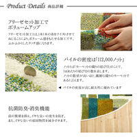 イケヒコ・コーポレーション カーペット ラグ エデン 1600×1600mm 1320410010301 1枚（直送品）