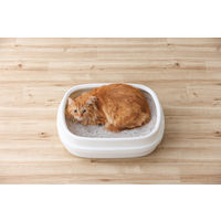 猫砂 クリーンサンド 鉱物タイプ ボタニカルソープの香り 5L 1袋 アイリスオーヤマ