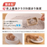 猫砂 クリーンサンド 鉱物タイプ 無香料 5L 1袋 アイリスオーヤマ