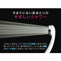 ガオナ シルキーシャワーヘッド（メタリック） GA-FA013 1個