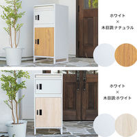三栄コーポレーション 木目調ポスト付き宅配ボックス ブラック×木目調ナチュラル A1-DLMPBBKNA_AS 1台（直送品）