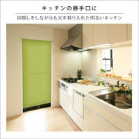 ホームテイスト つっぱりロールスクリーン 採光タイプ 縦900×横1800ｍm グリーン SH-16-H90 1台（直送品）