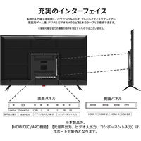 JAPANNEXT 55インチ4K対応ワイド液晶モニター JN-HDR552IPS4K 1台（直送品）