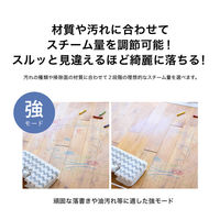 C&C スチームクリーナー CC-K003 1台