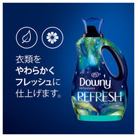 P＆G ダウニー インフュージョン リフレッシュ・バーチウォーター&ボタニカル 1.66L 037000241553（直送品）