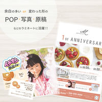 アスカ ラミネータ専用キャリアシート CAR01 1セット(1袋×2)